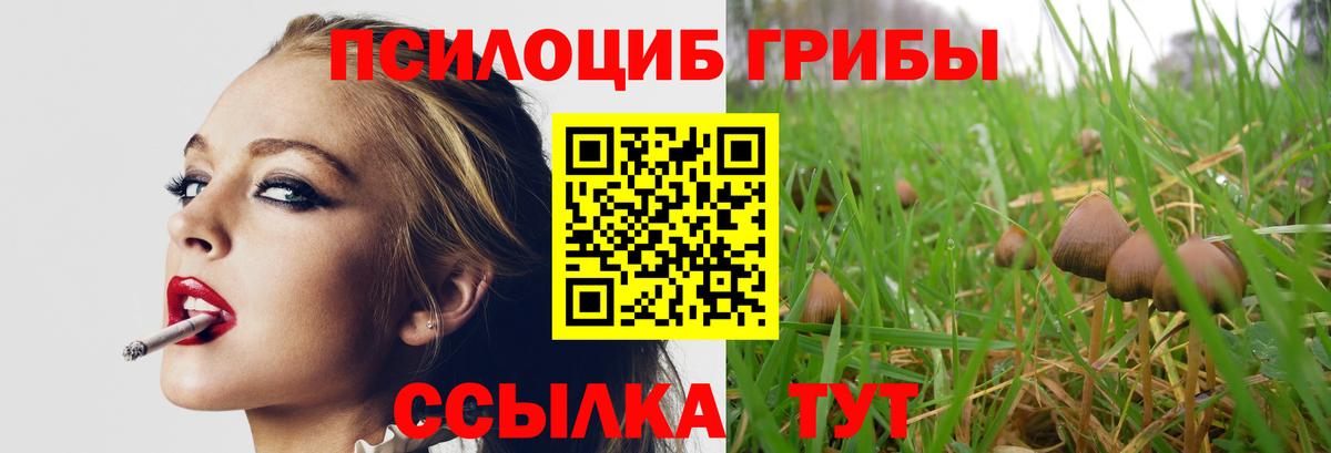 Псилоцибиновые грибы прущие грибы  Вход с VPN  Юрга 