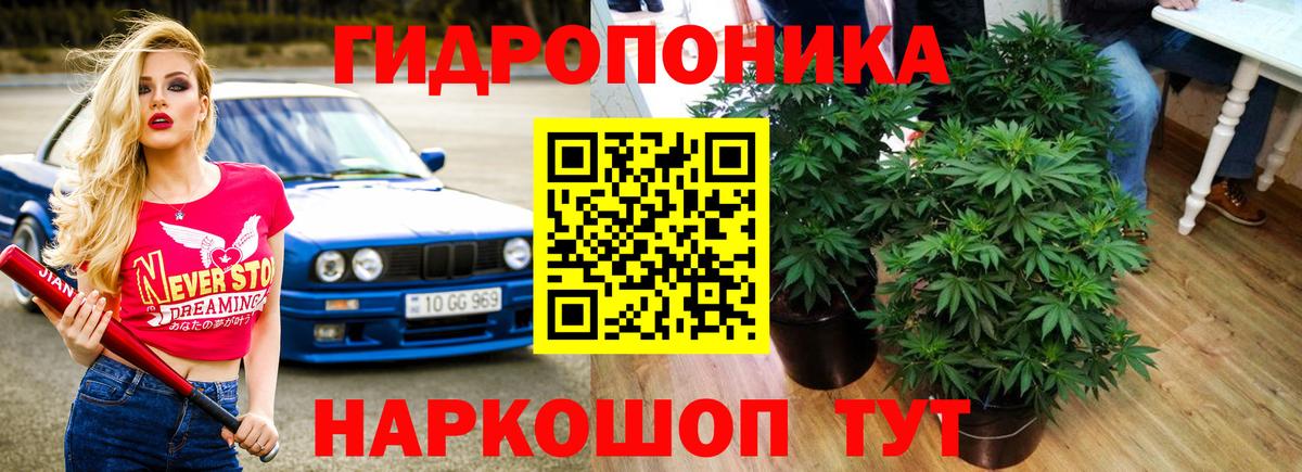 МАРИХУАНА план Юрга